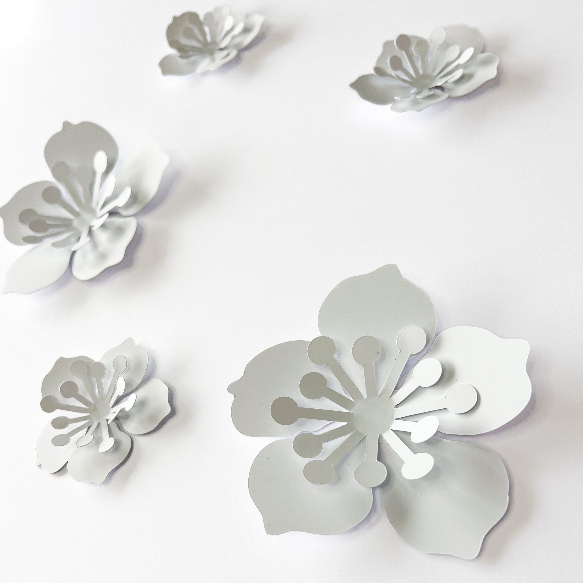 Stickers Placard , Fleurs Blanches